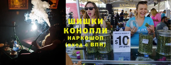 шишки Гвардейск